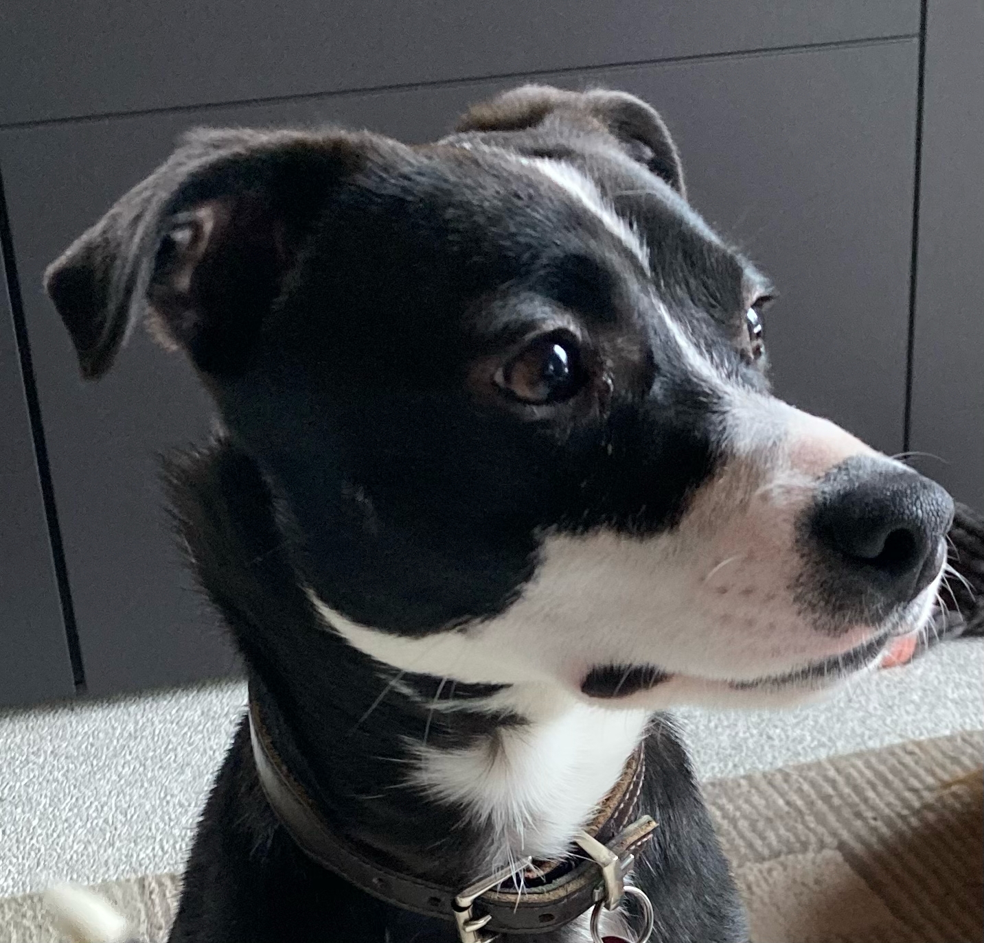 Tito