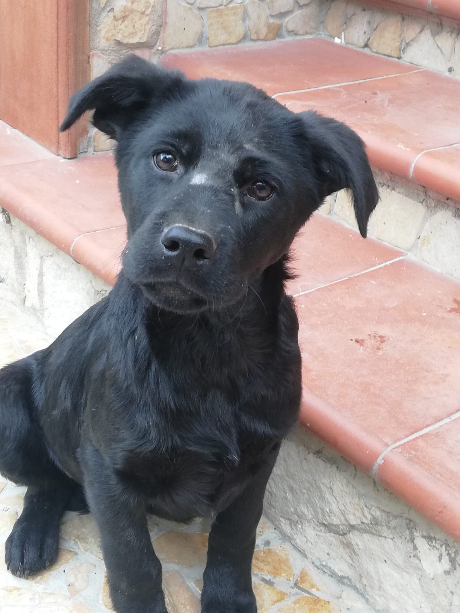 Nerone