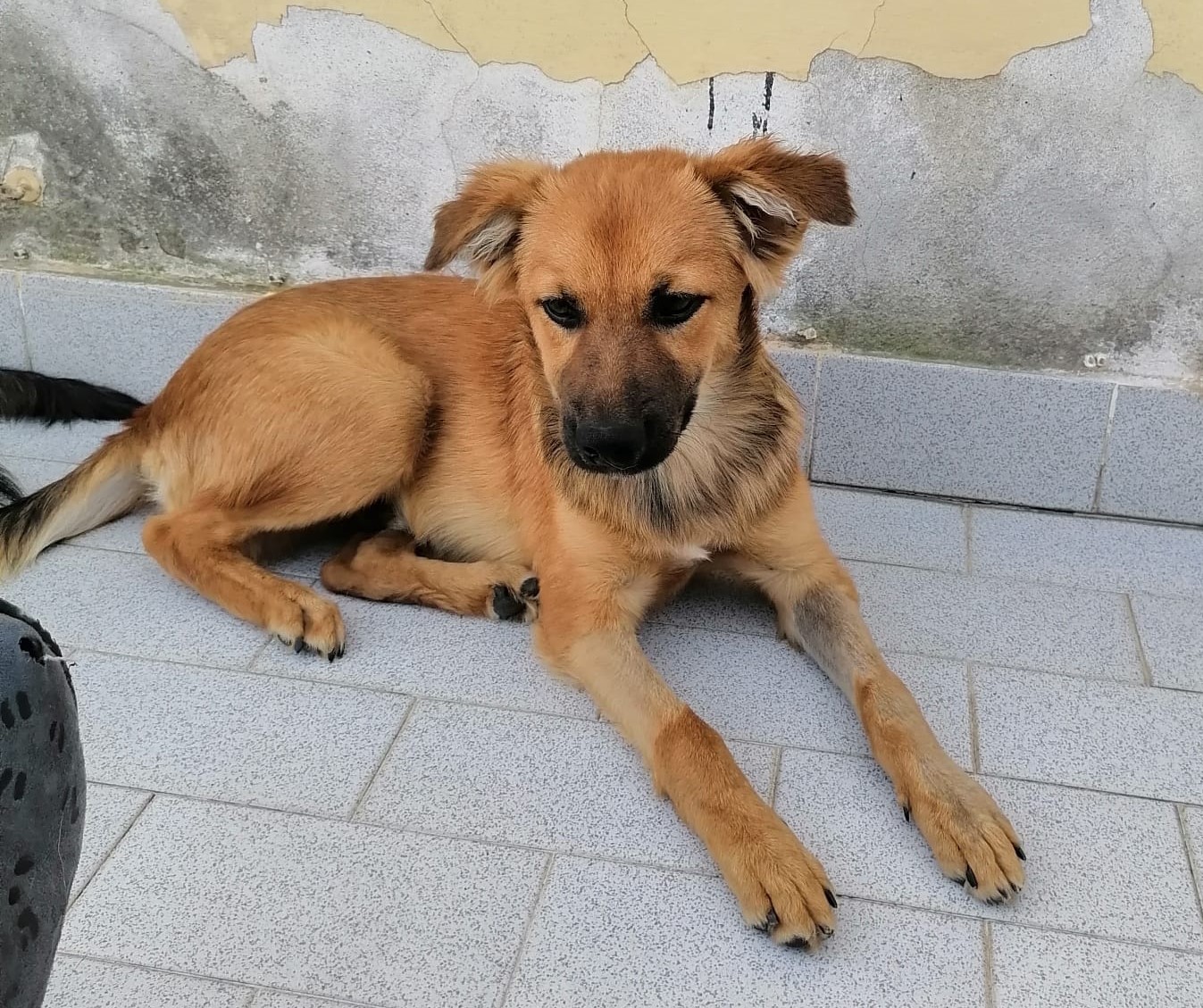 Oskar