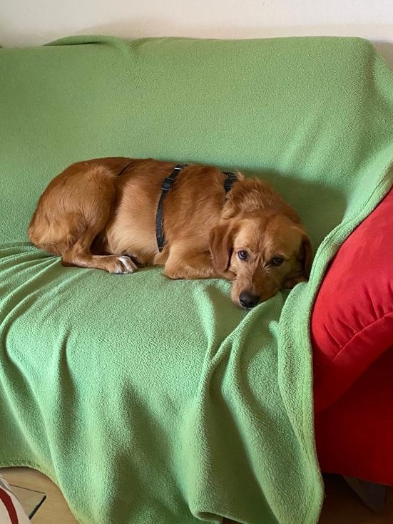 Matteo