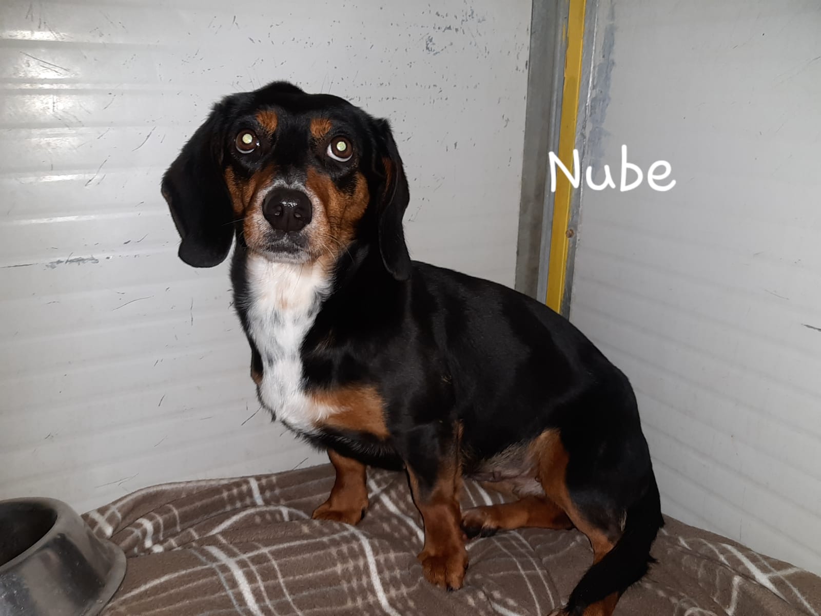 Nube
