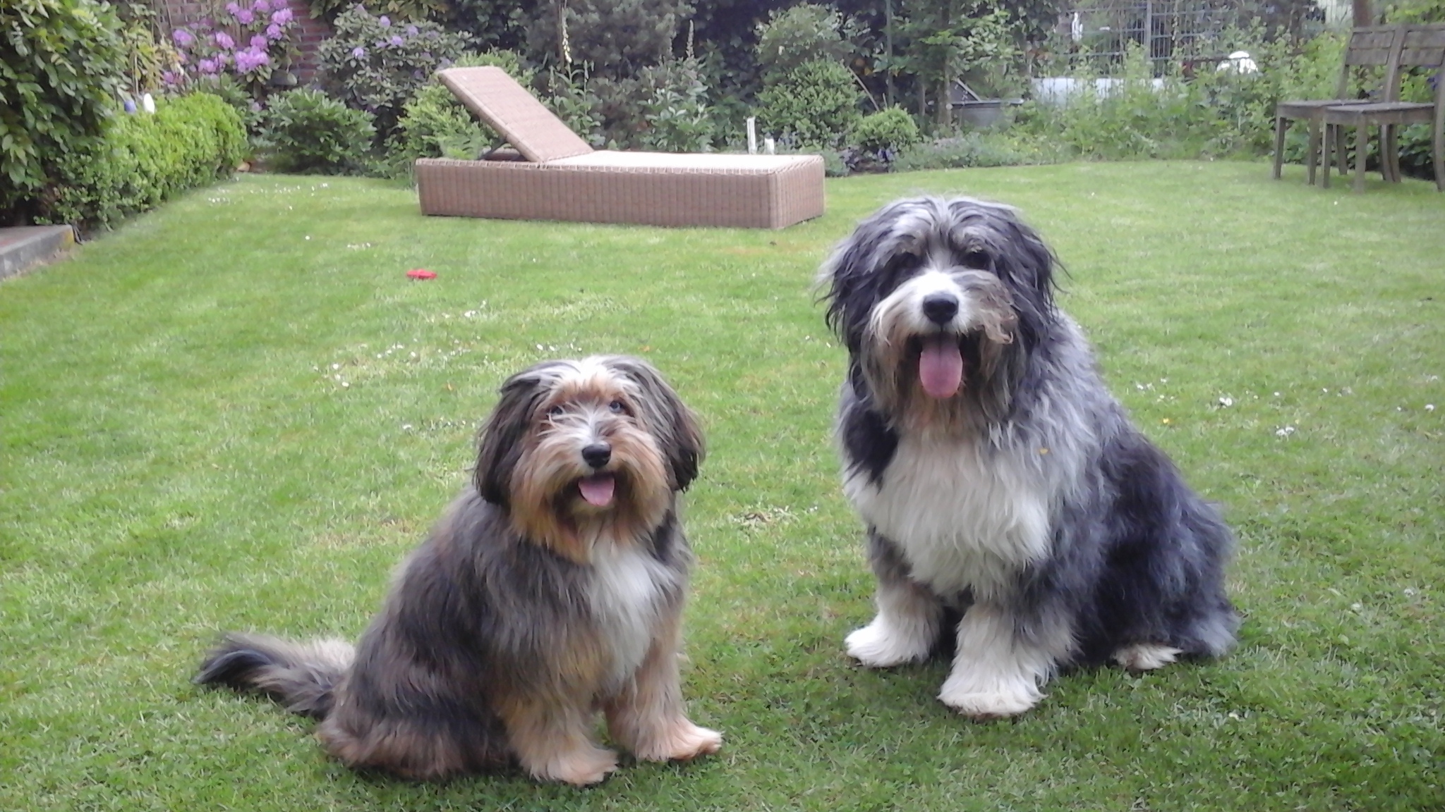 Tasso (Paco)