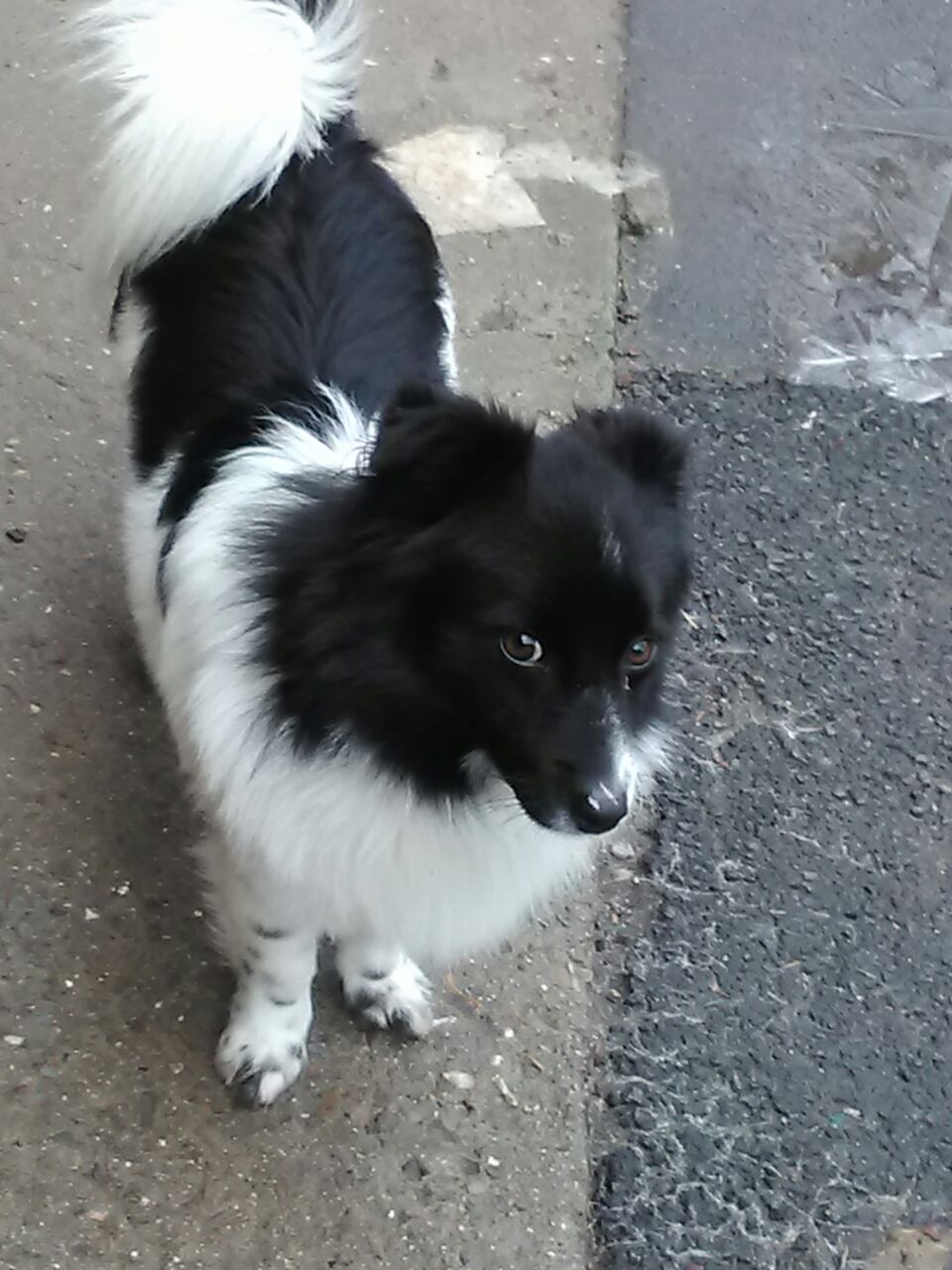 Paul