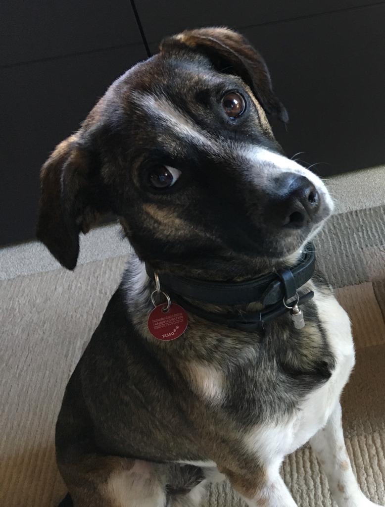Piero