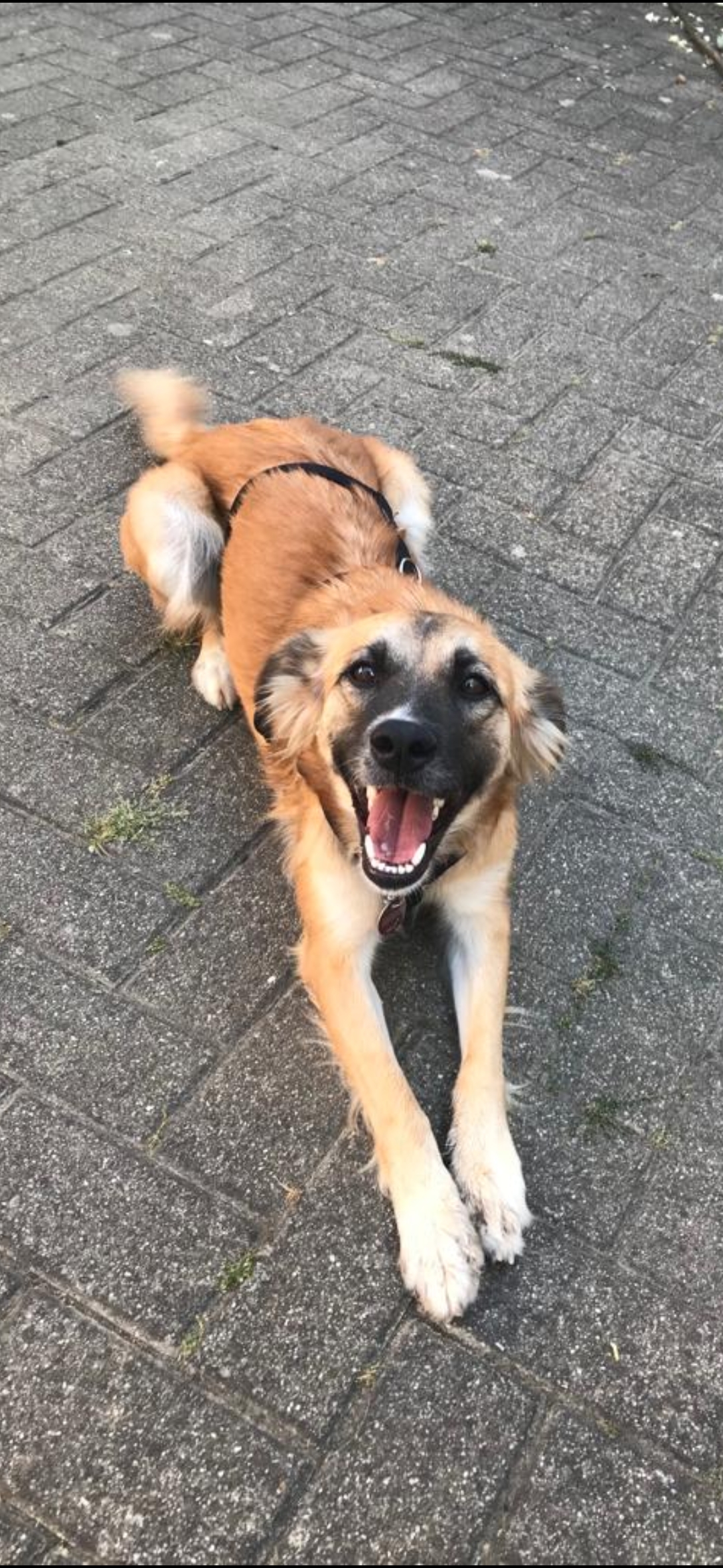 Nadia