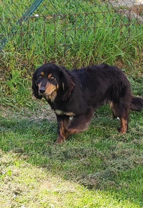 Paco