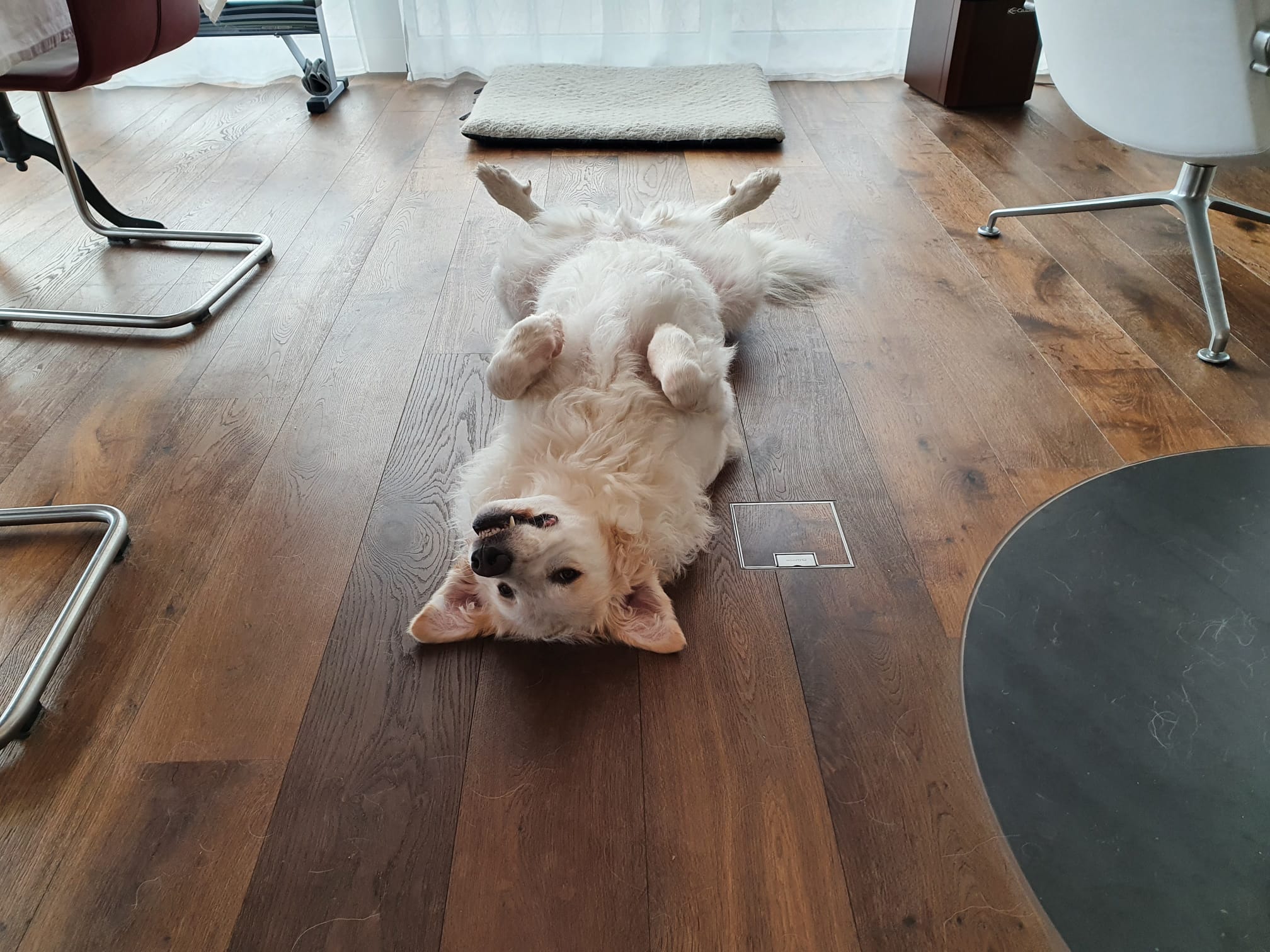 Ugo