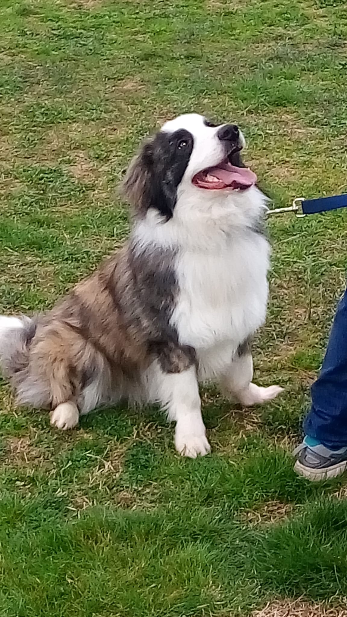 Luigi