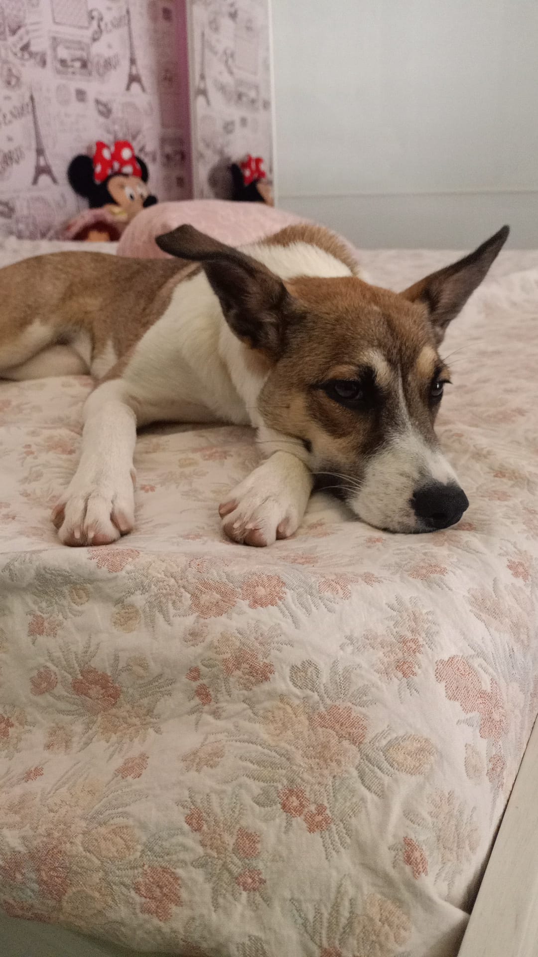 Mia