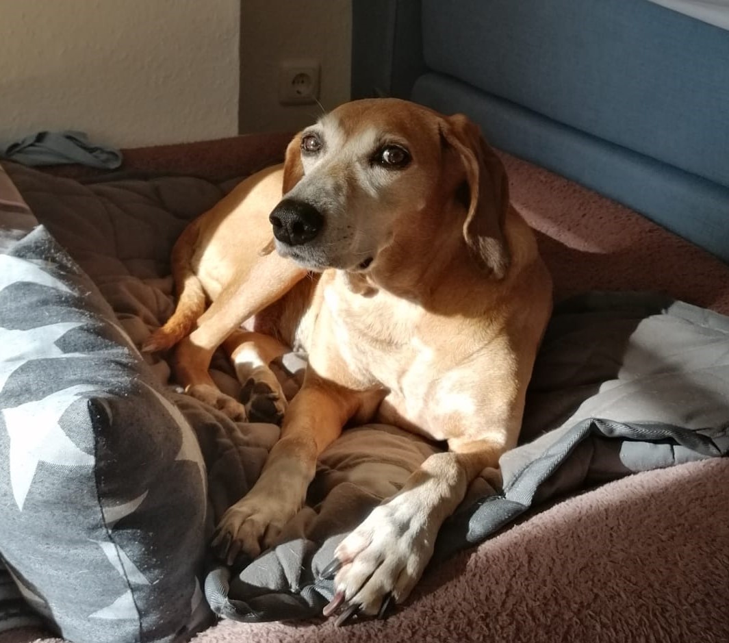 Tita
