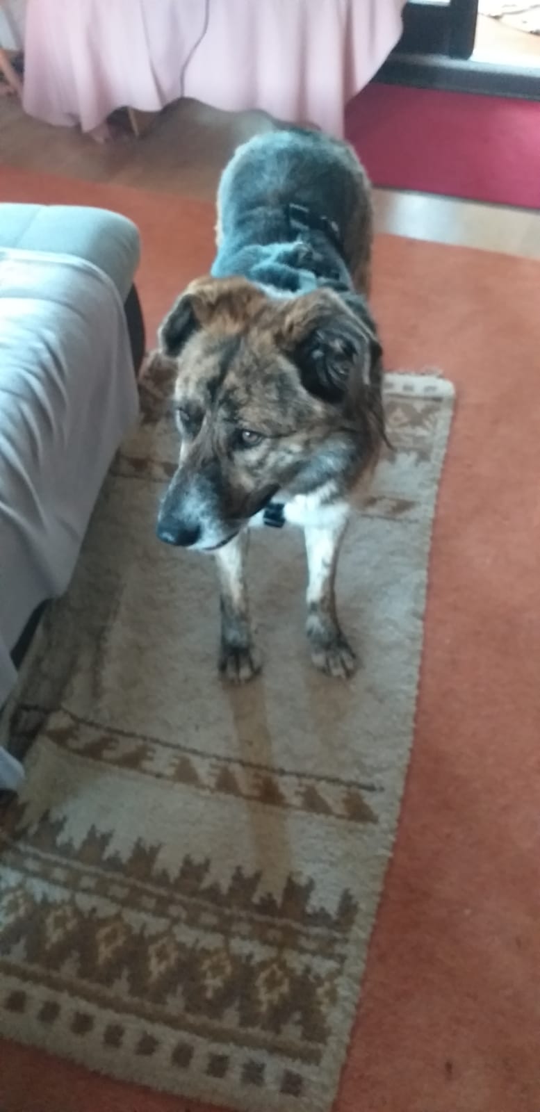 Berta