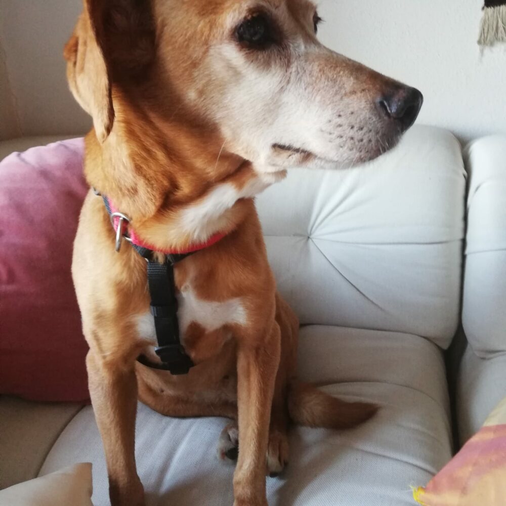 Betty