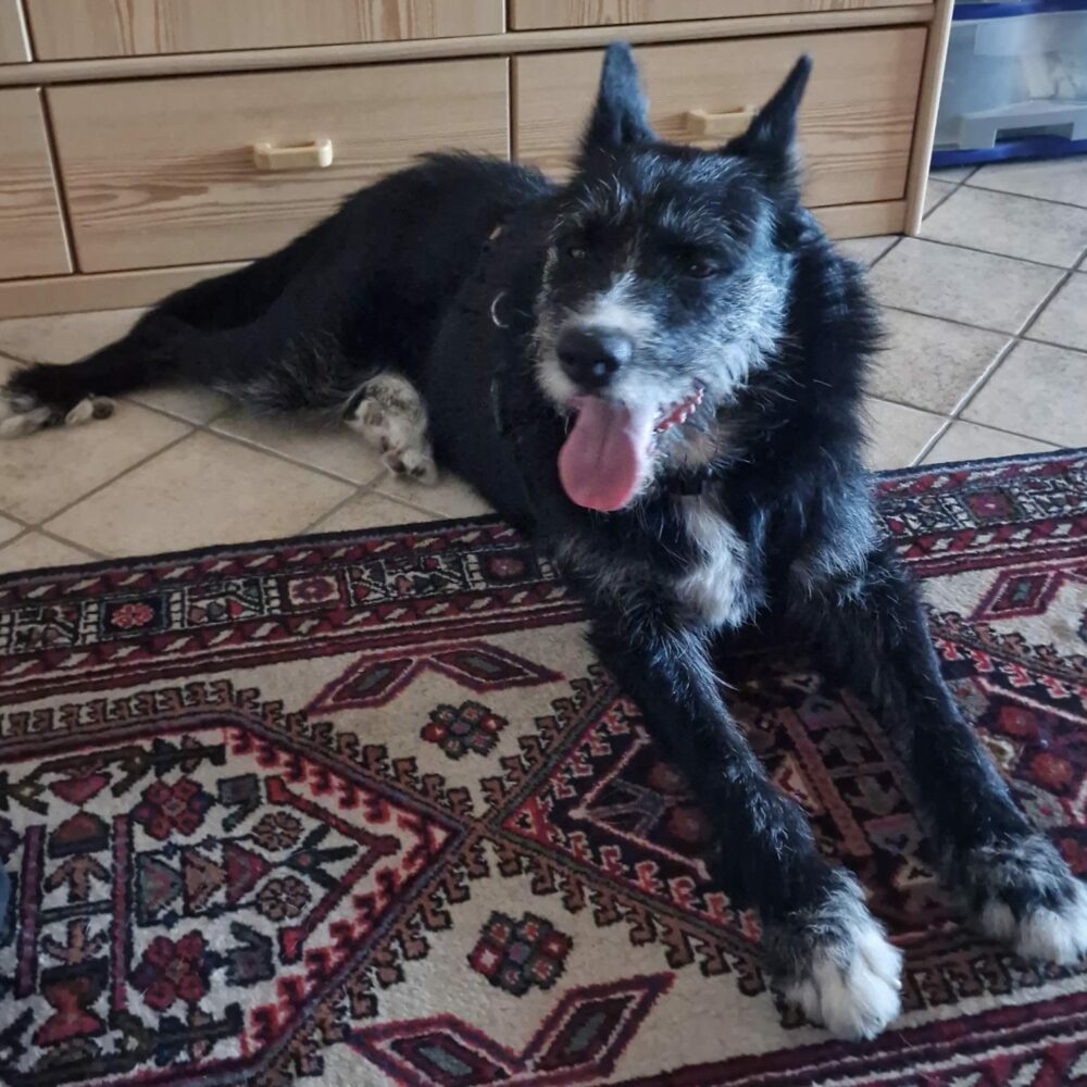 Ciro