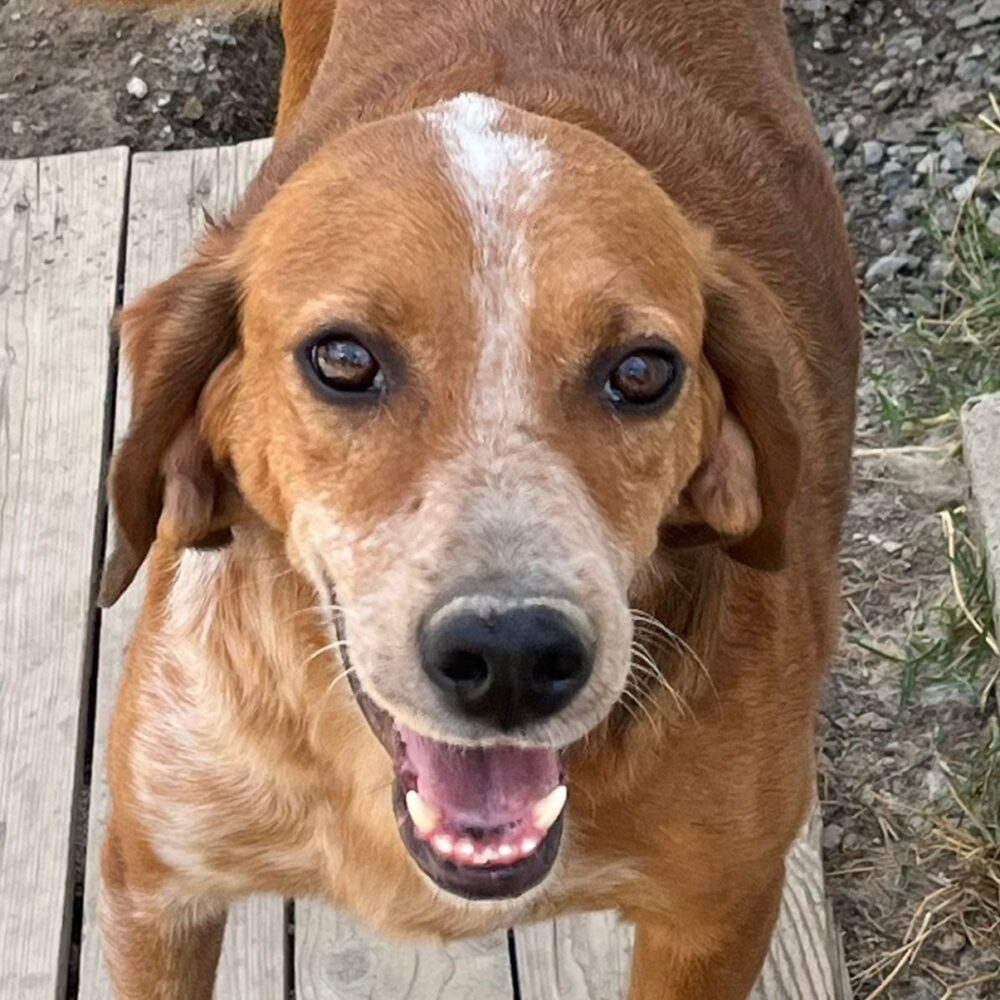 Sebastian