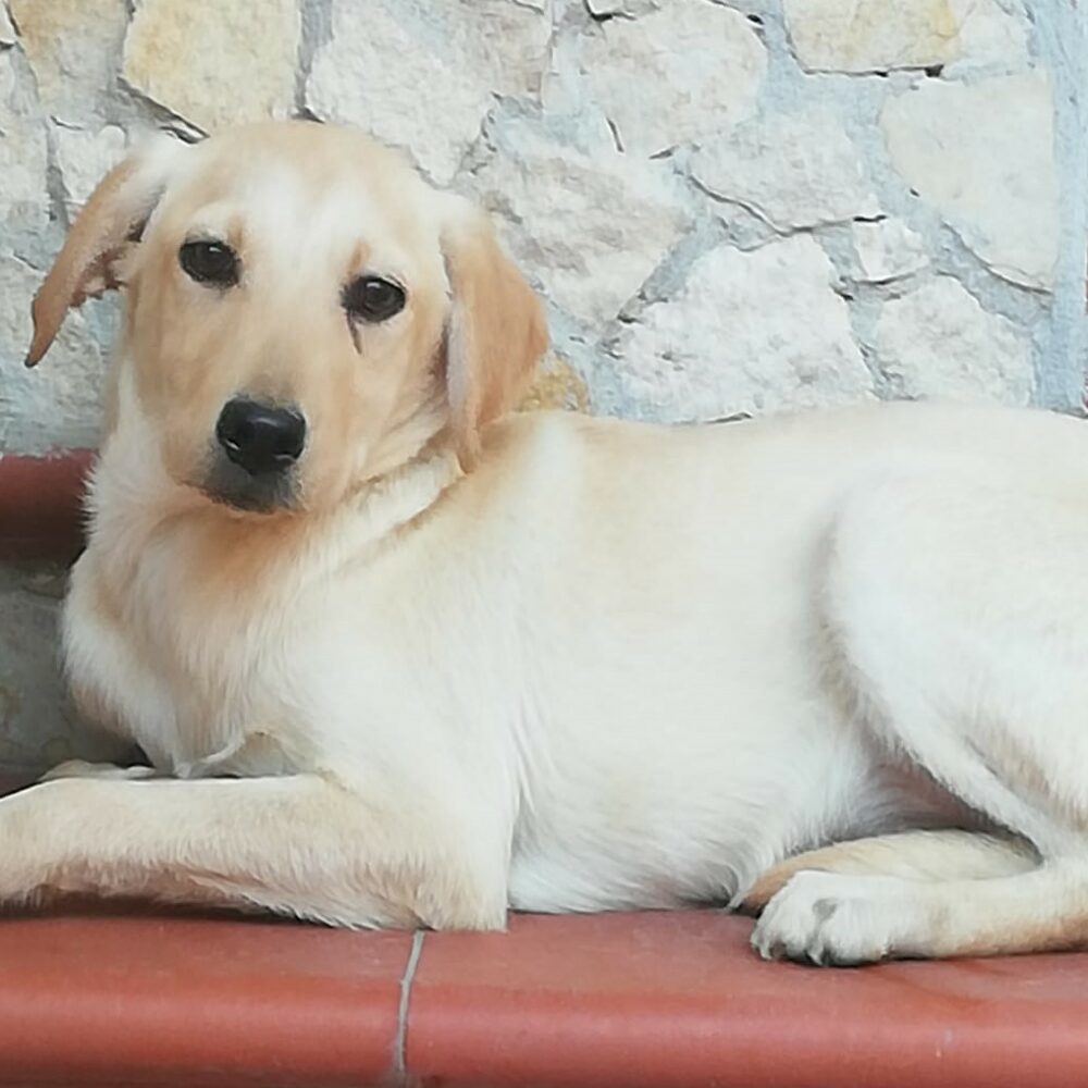 Paola