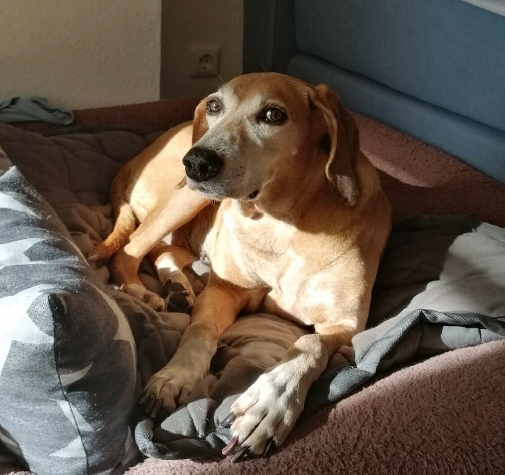 Tita