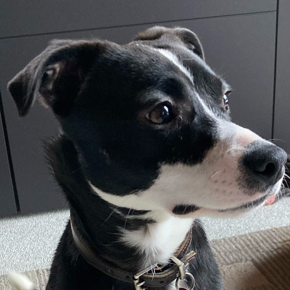 Tito