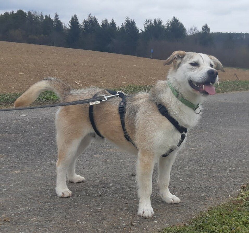Carlos