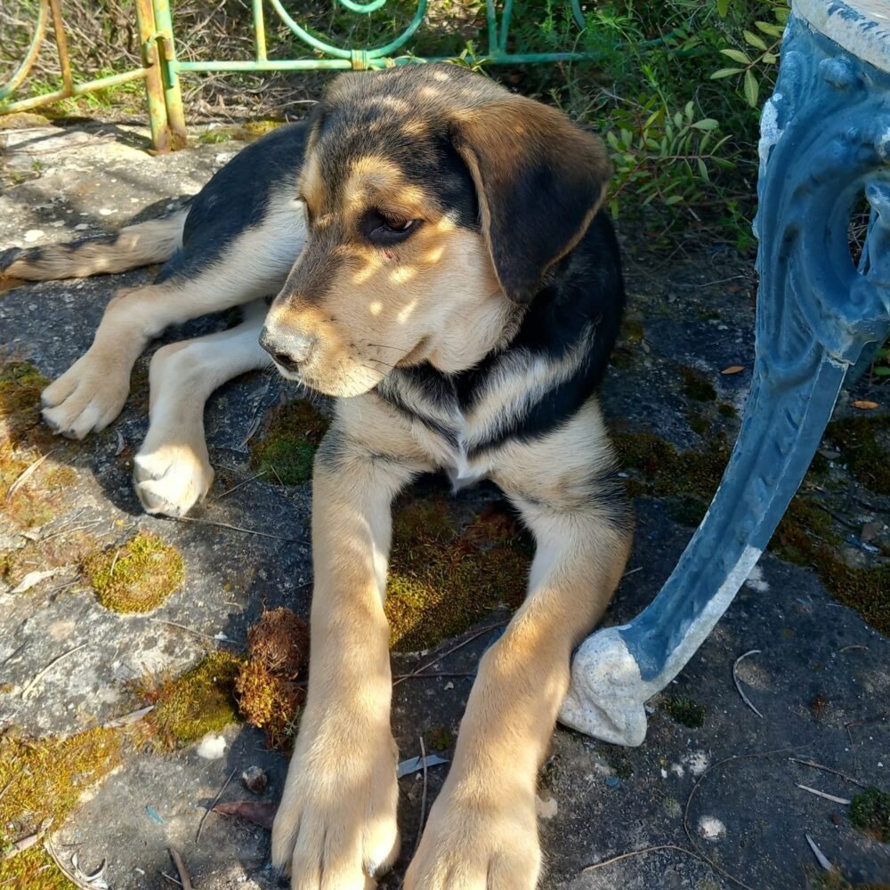 Quenti