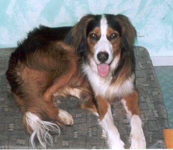 Heidi