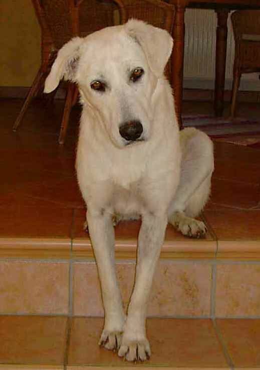 Lucia