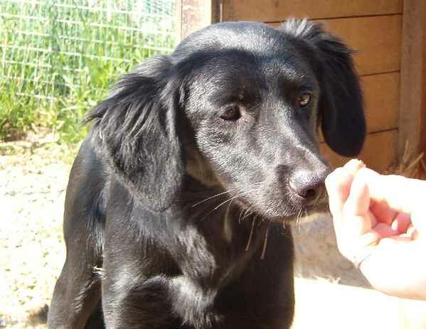 Peggy