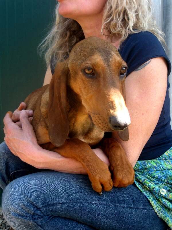 Jasper