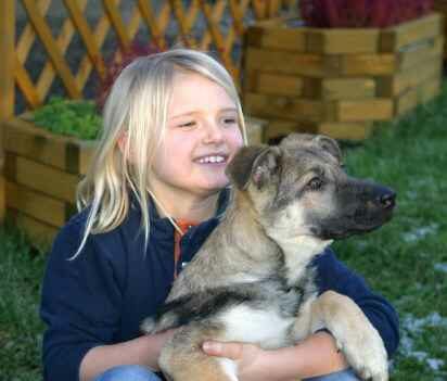 Stellina