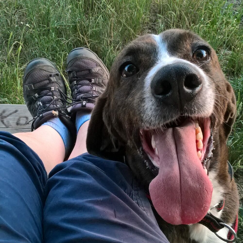 Buddy