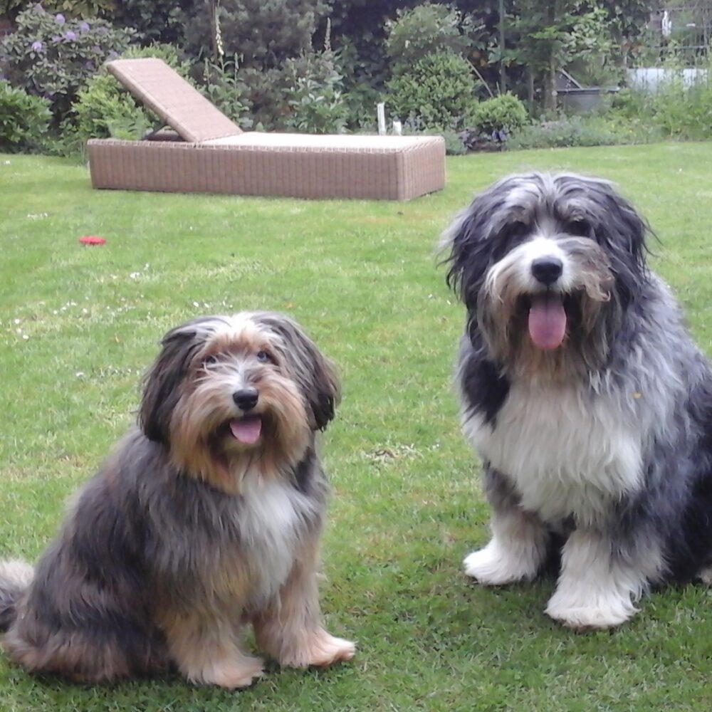 Tasso (Paco)