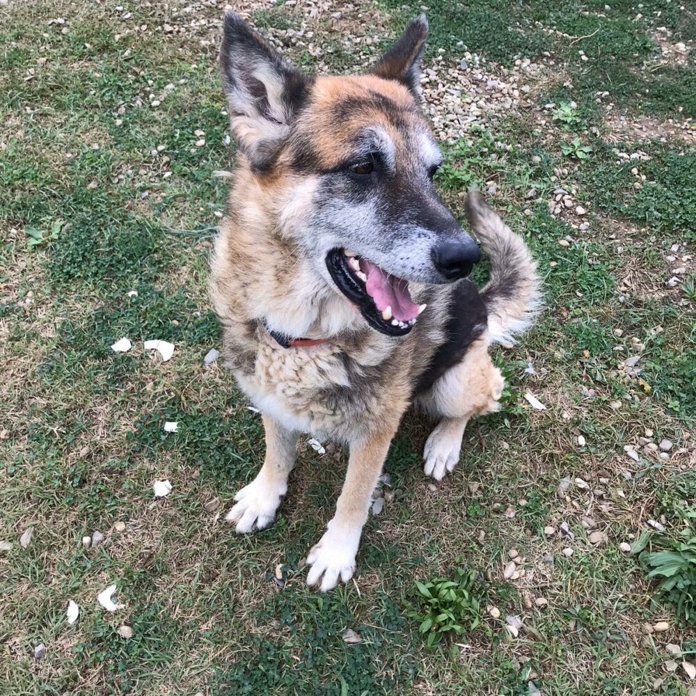 Aldo