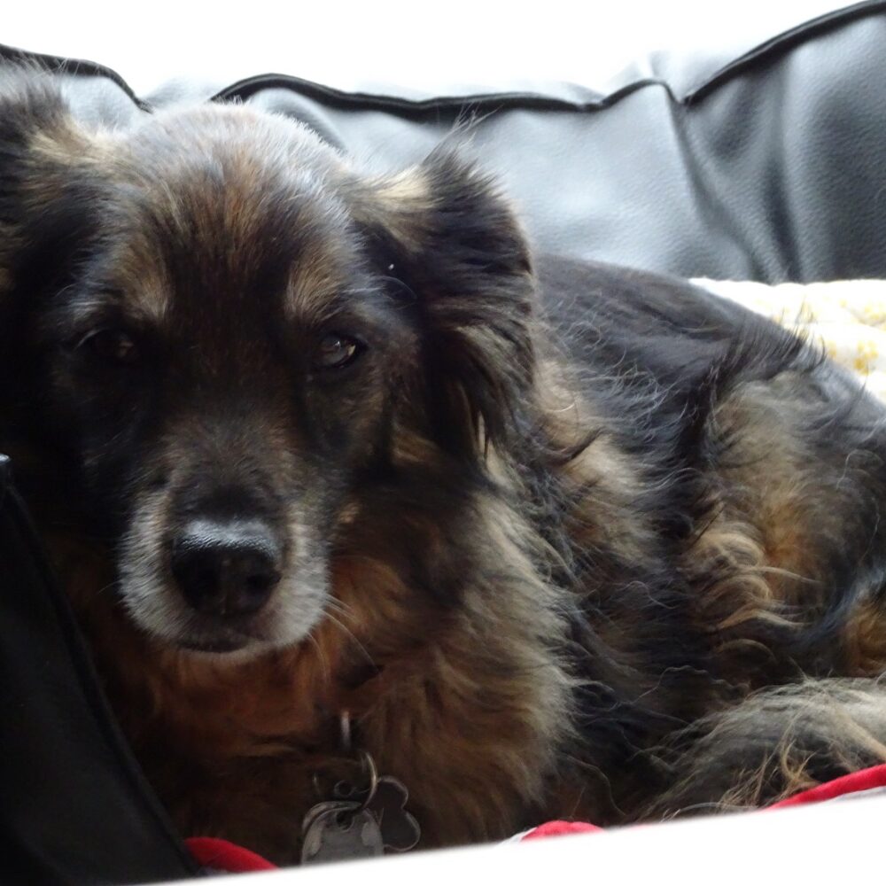 Billy