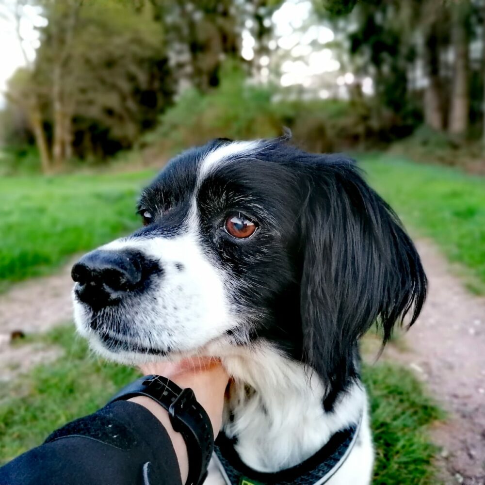 Lola