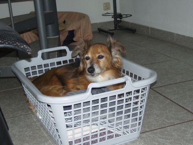 Ralf