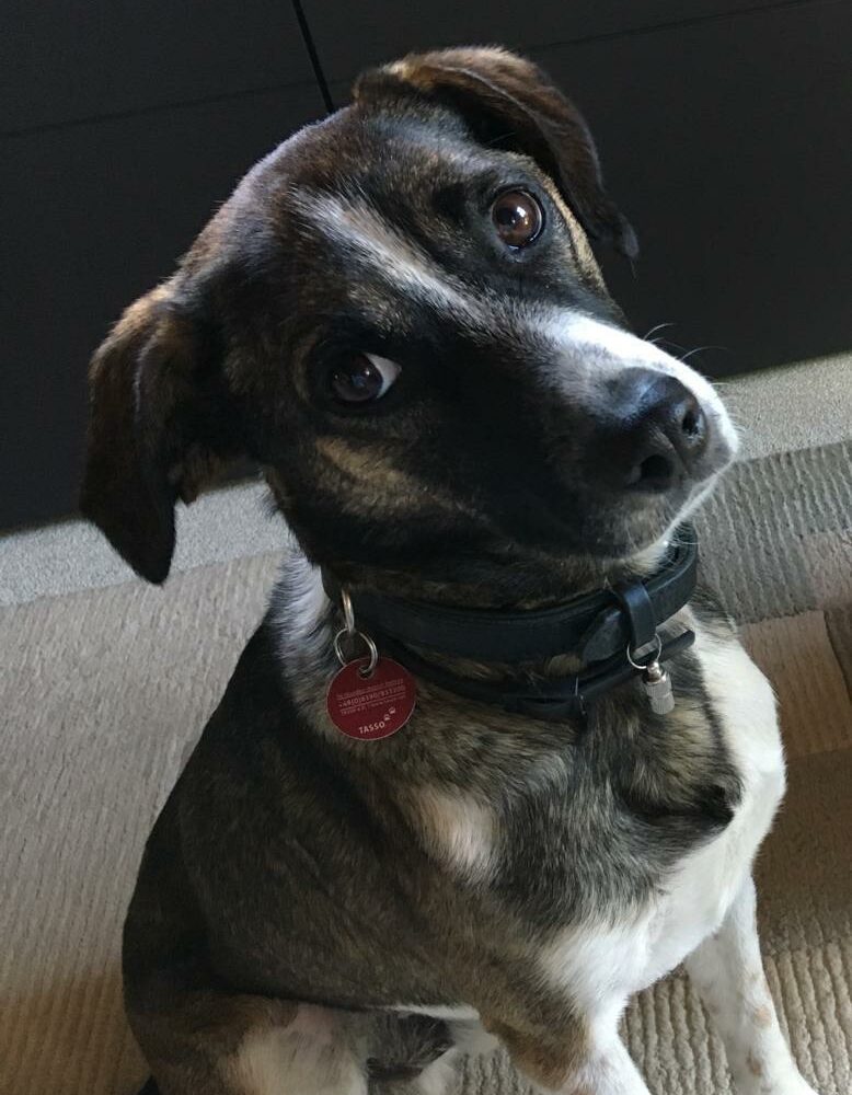 Piero