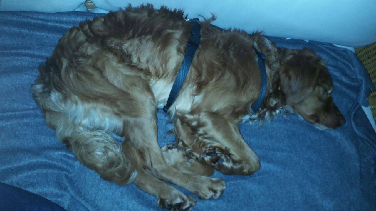 Oliver